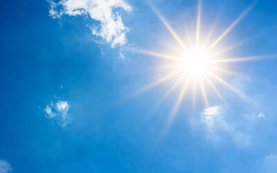 Vitamin D – das Sonnenhormon